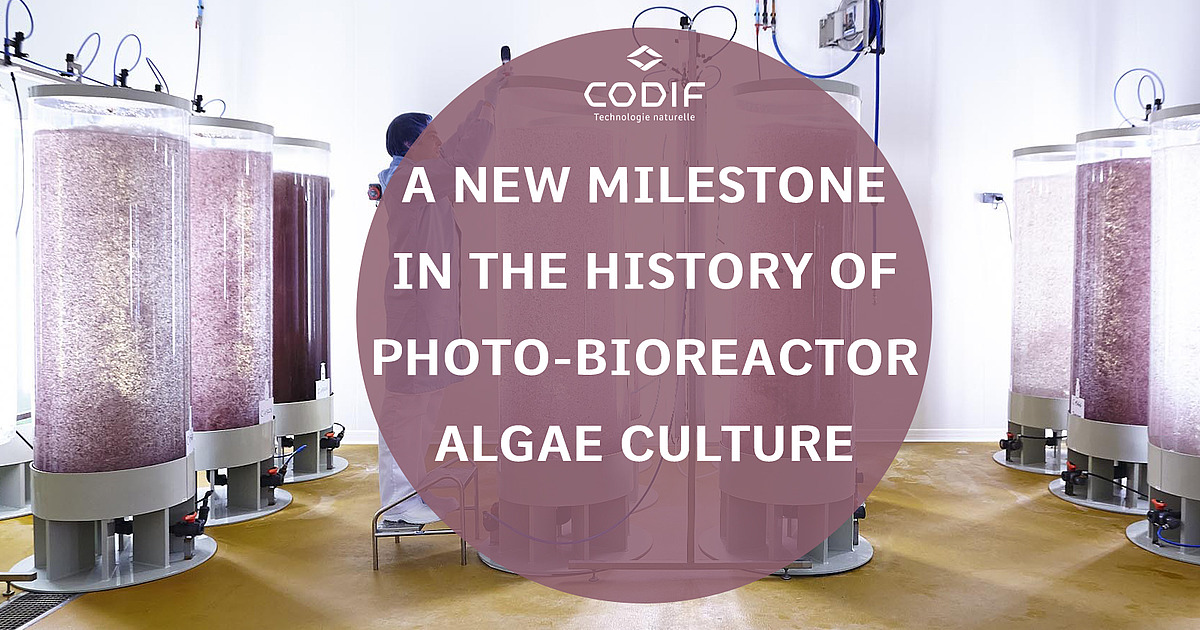 Codif marks a new milestone in the history of photo-bioreactor algal ...