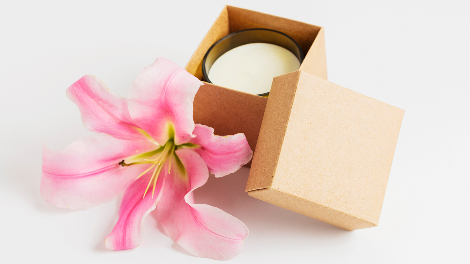 photo: Lugres/Shutterstock.com