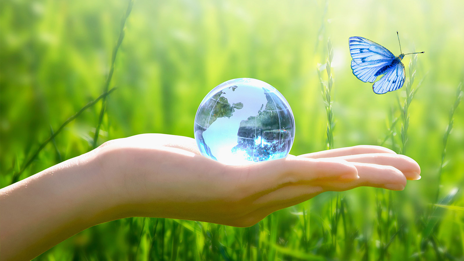 photo: Julia Ardaran/Shutterstock.com