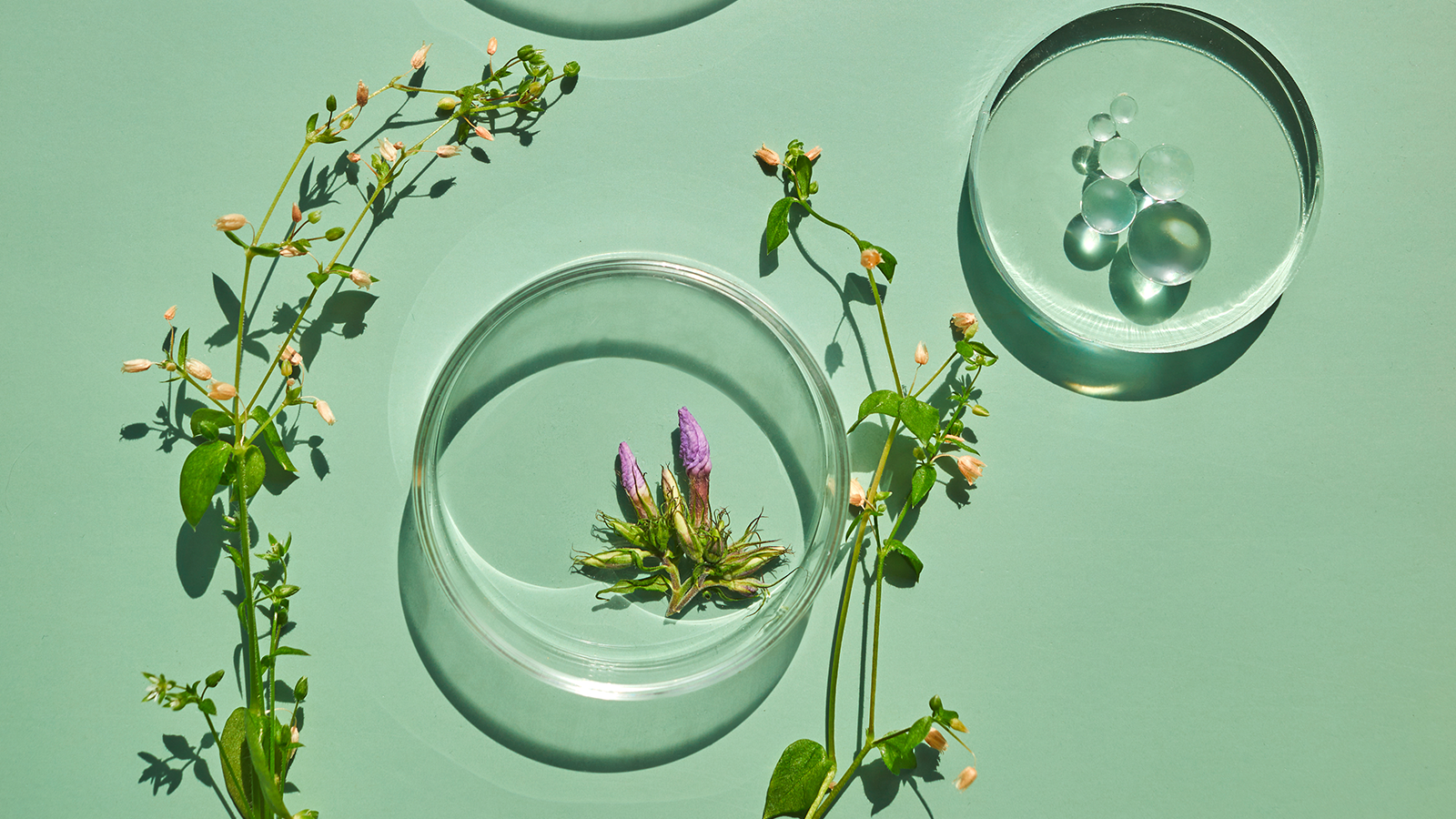 photo: vetre/Shutterstock.com