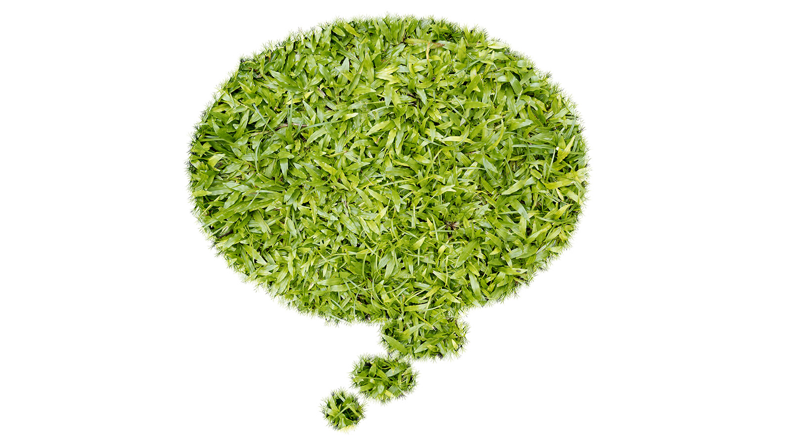 photo: Issarawat Tattong/Shutterstock.com