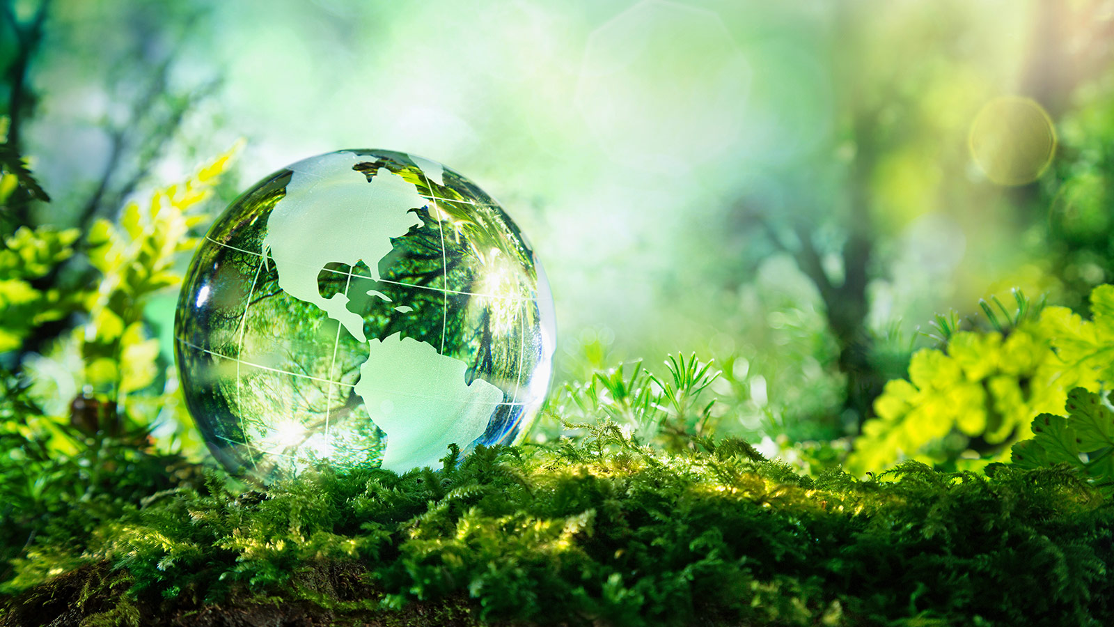 photo: Romolo Tavani/Shutterstock.com
