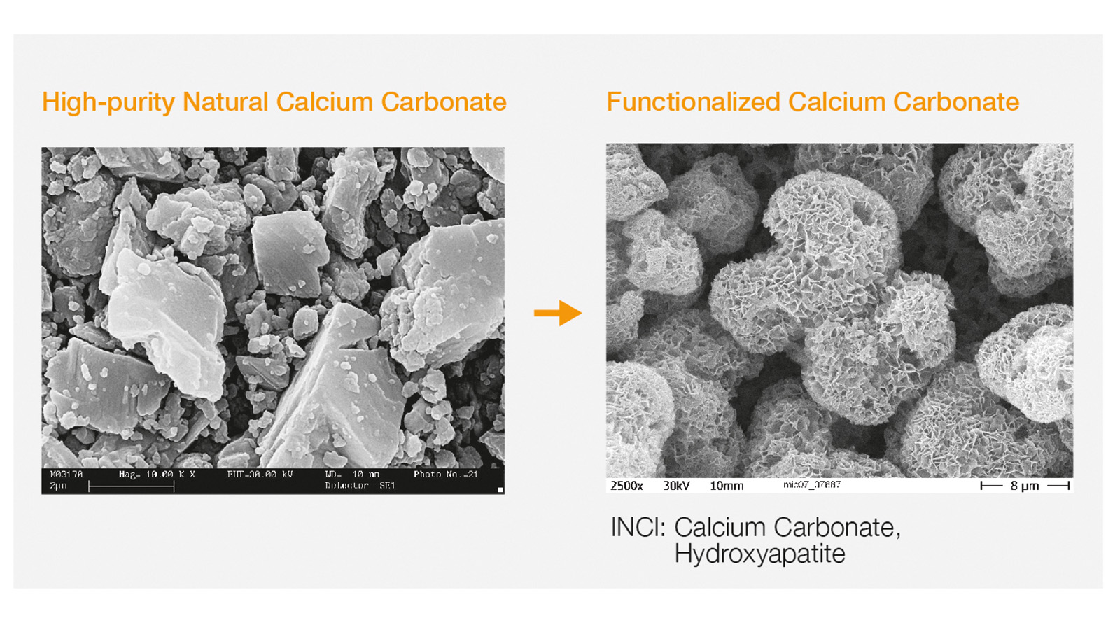 graphic: BASF Personal Care; Figure 1: From high-purity Natural Calcium Carbonate through recrystallization to unique “spongy” particles.