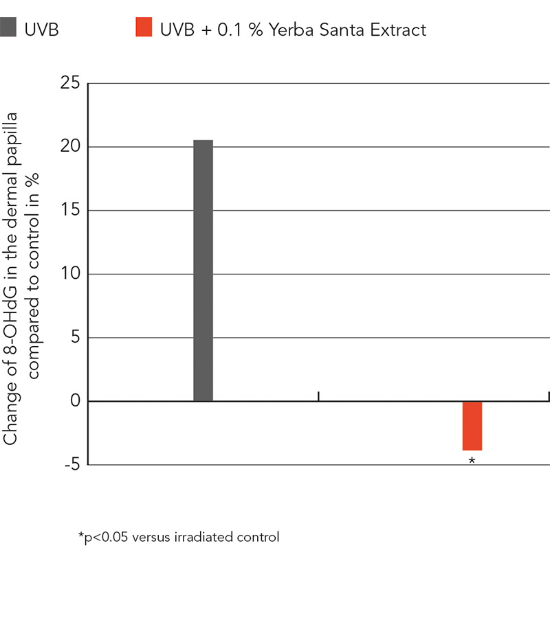 figure 1: Reduction of oxidative DNA damage in the