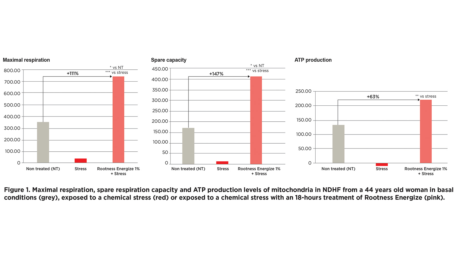 figure 1: Maximal respiration, spare respiration capacity and ATP production levels of mitochondria in NDHF from a 44 years old woman in basal conditions (grey), exposed to a chemical stress (red) or exposed to a chemical stress with an 18-hours treatment of the extract of Luffa cylindrica. figures: Clariant Active Ingredients