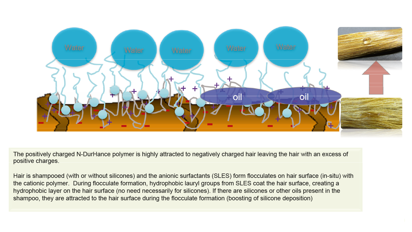 fig. 2: In Situ Controlled Flocculation (ISCF) method. Photo: Ashland/Shutterstock.com