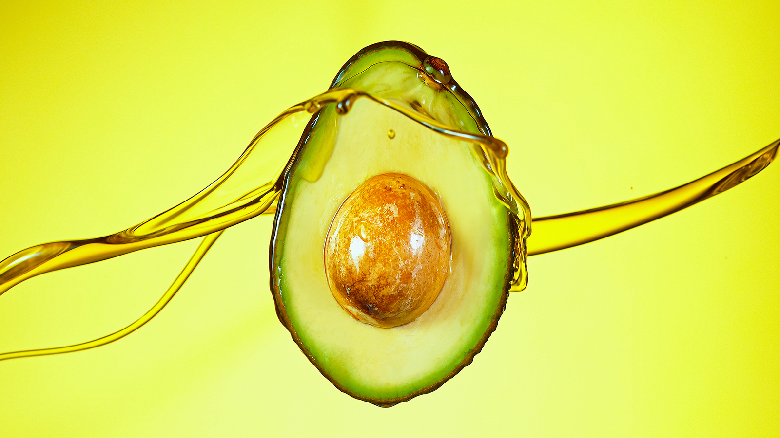 photo: Lukas Gojda/Shutterstock.com