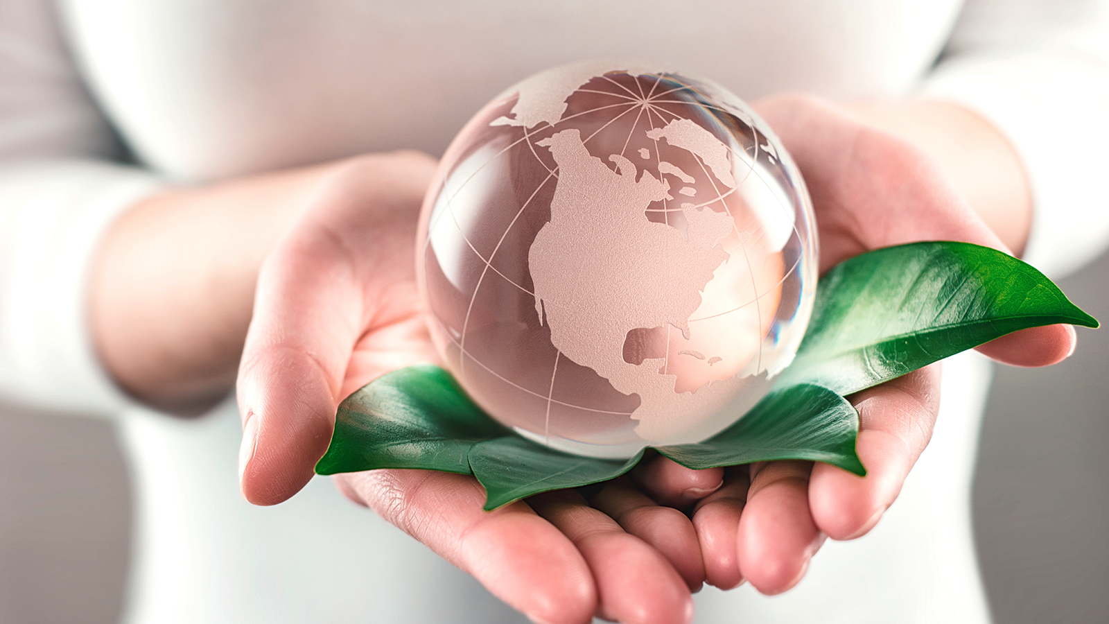 photo: r.classen/Shutterstock.com