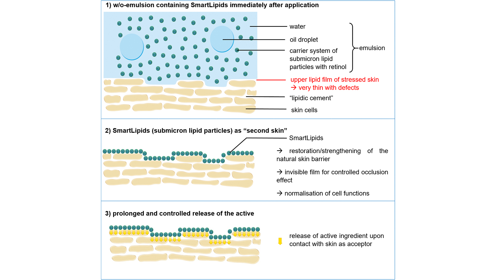 SmartLipids on the skin - Figure: Authors