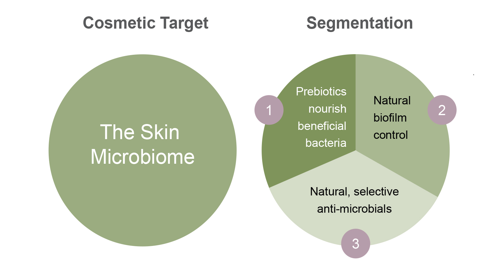 figure 1: Segmentation of cosmetic strategies that target the human skin microbiome. Product positioning of selected cosmetic actives that address each segment. figure: Lipoid Kosmetik