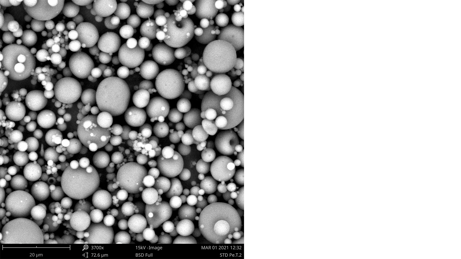 figure 1: Morphology of microencapsulated avobenzone as observed by SEM. Microcapsules are intact and spherical in shape.