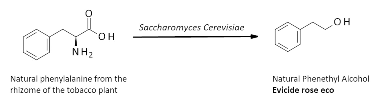 figure 2: Production pathway of natural phenethyl alcohol (Evicide rose eco) via fermentation from natural phenylalanine. figures: Evident Ingredients