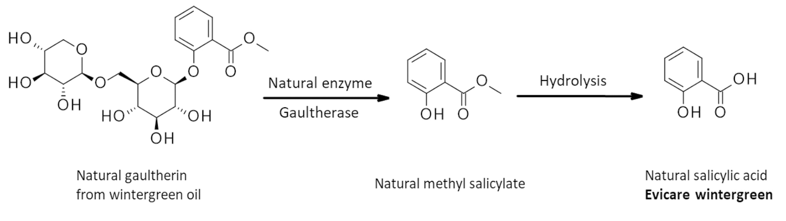 figure 4: Natural salicylic acid is obtained via the natural enzyme catalysis pathway starting from gaultherin. figures: Evident Ingredients