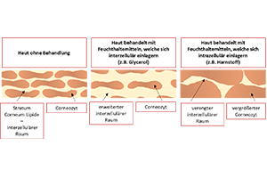graphic: Prof Dr Cornelia M. Keck, University Marburg
