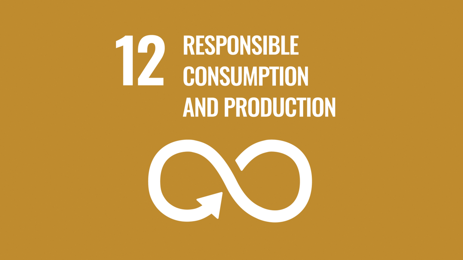 Figure 2: The logo of the 12th of the United Nations Sustainable Development Goals5: In September 2023,
the UN called on the citizens of the world to make their contributions public under “united we act”.