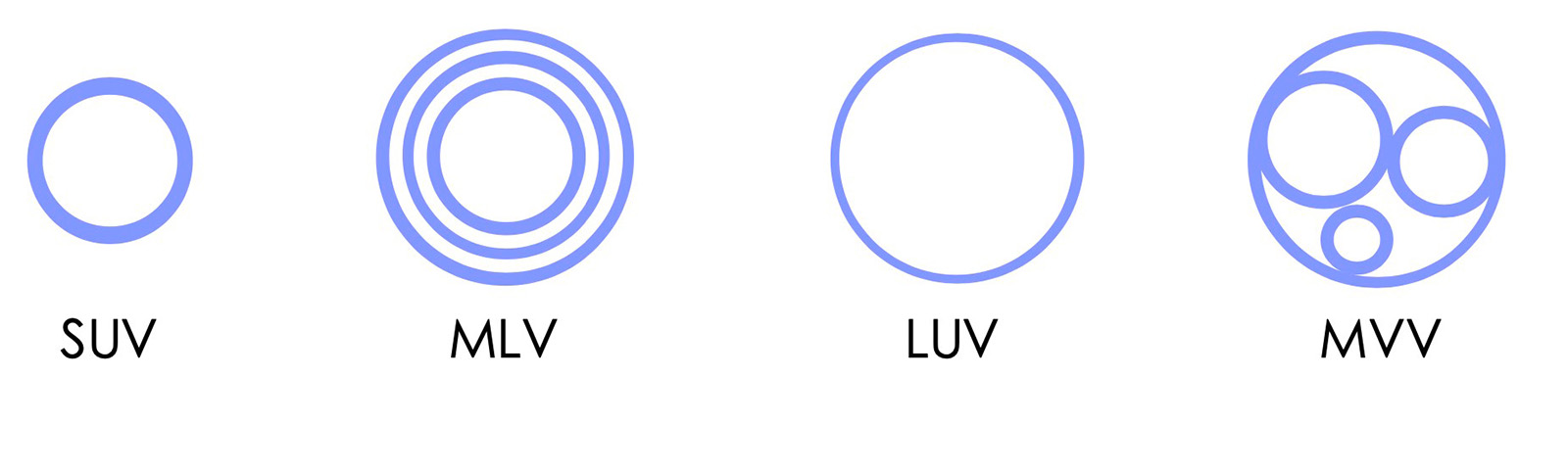 figure 2: Types of liposomes.figures: Indermal/nanovex Biotechnologies