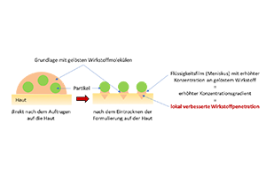 graphic: Prof Dr Cornelia M. Keck, University Marburg