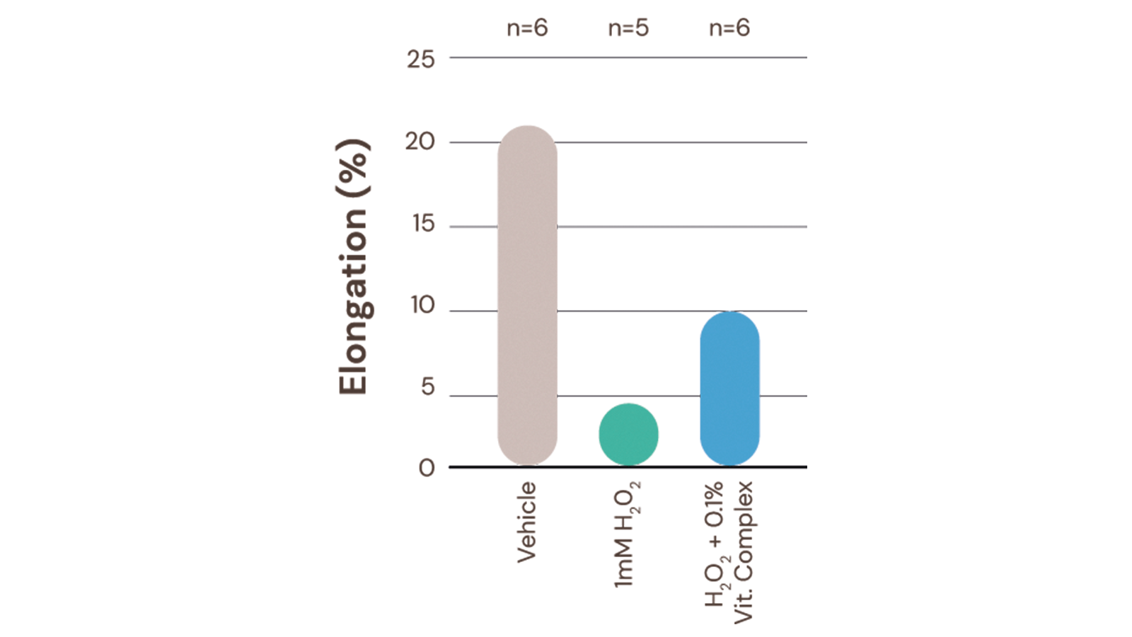 figure 4: Vitamin complex partially protects against H2O2-induced hair shaft production inhibition.
