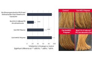 Figure 6: