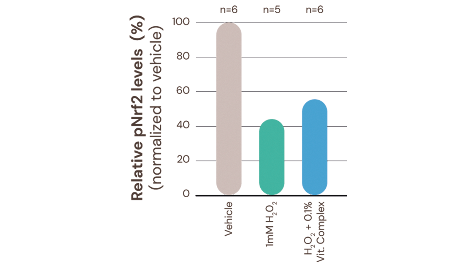 figure 6: Treatment with the vitamin complex counters the reduction of pNrf2 expression levels in the germinative hair matrix.