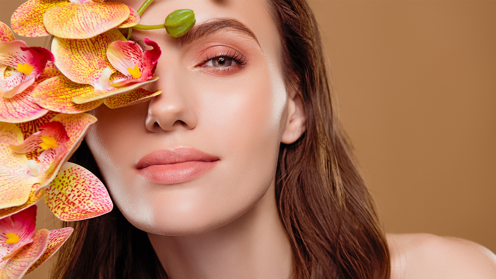 photo: Beauty Hero/Shutterstock.com