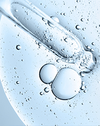 photo: Mitand73/Shutterstock.com