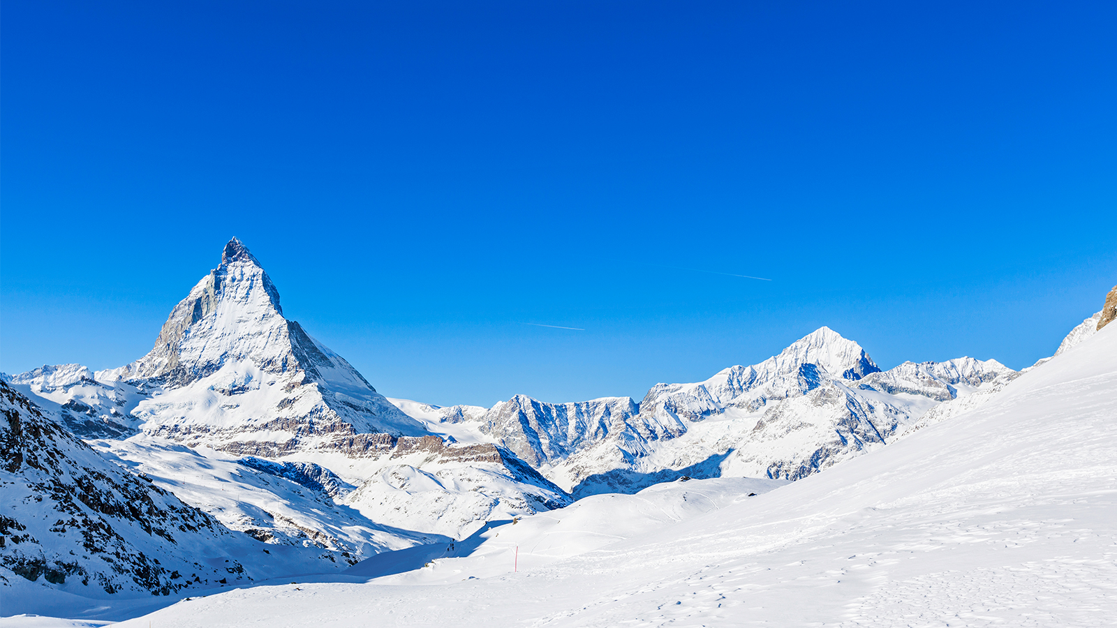 Photo: Peter Stein/Shutterstock.com