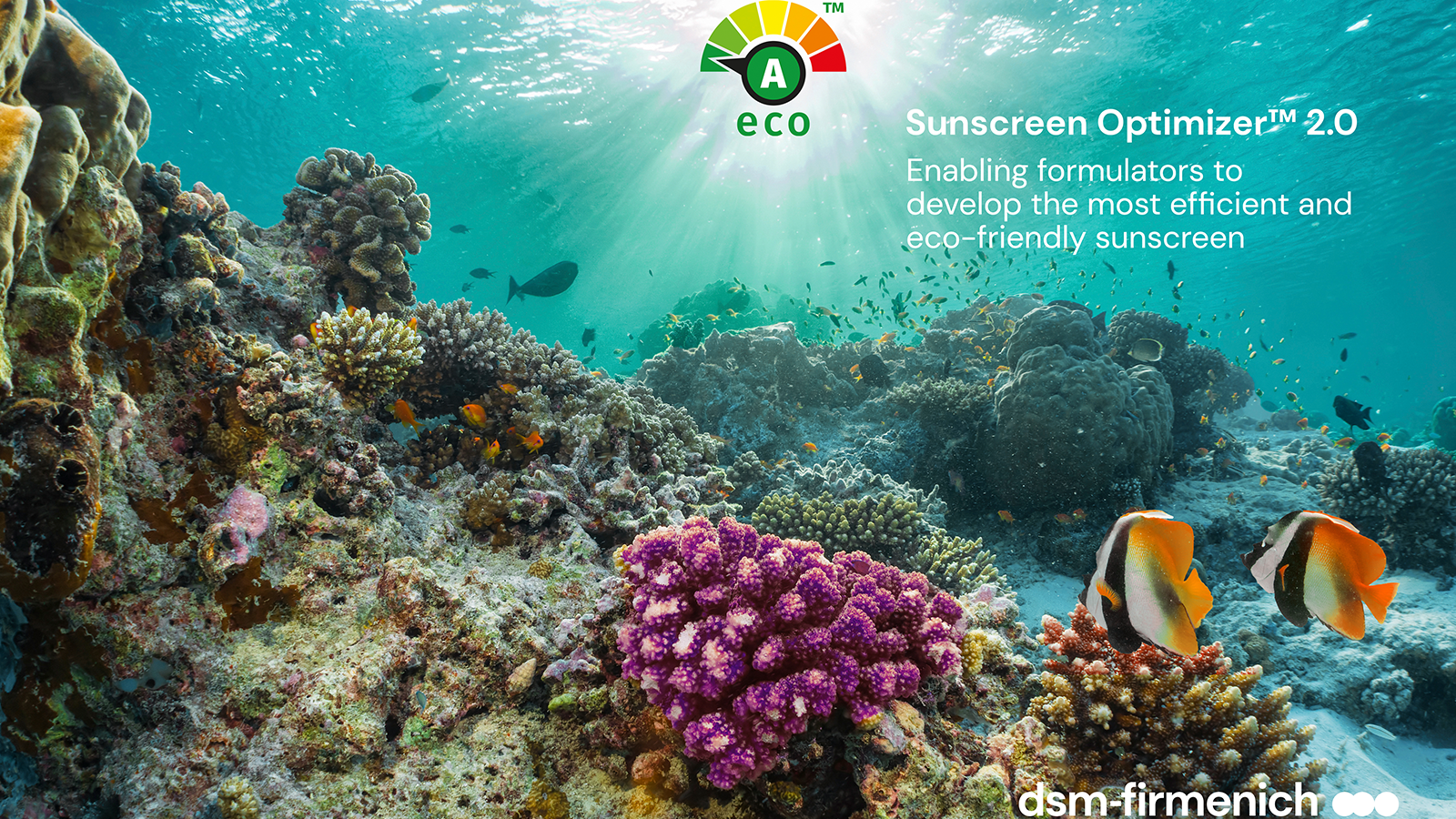 photos: dsm-firmenich; Sun Care: Enabling formulators to develop the most efficient and eco friendly sunscreen
