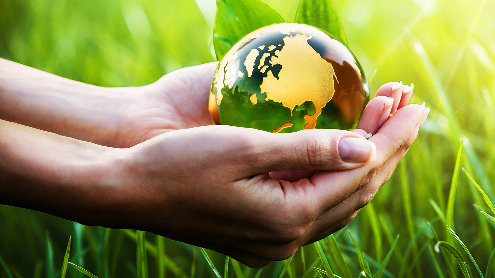 Photo: Pasko Maksi/Shutterstock.com