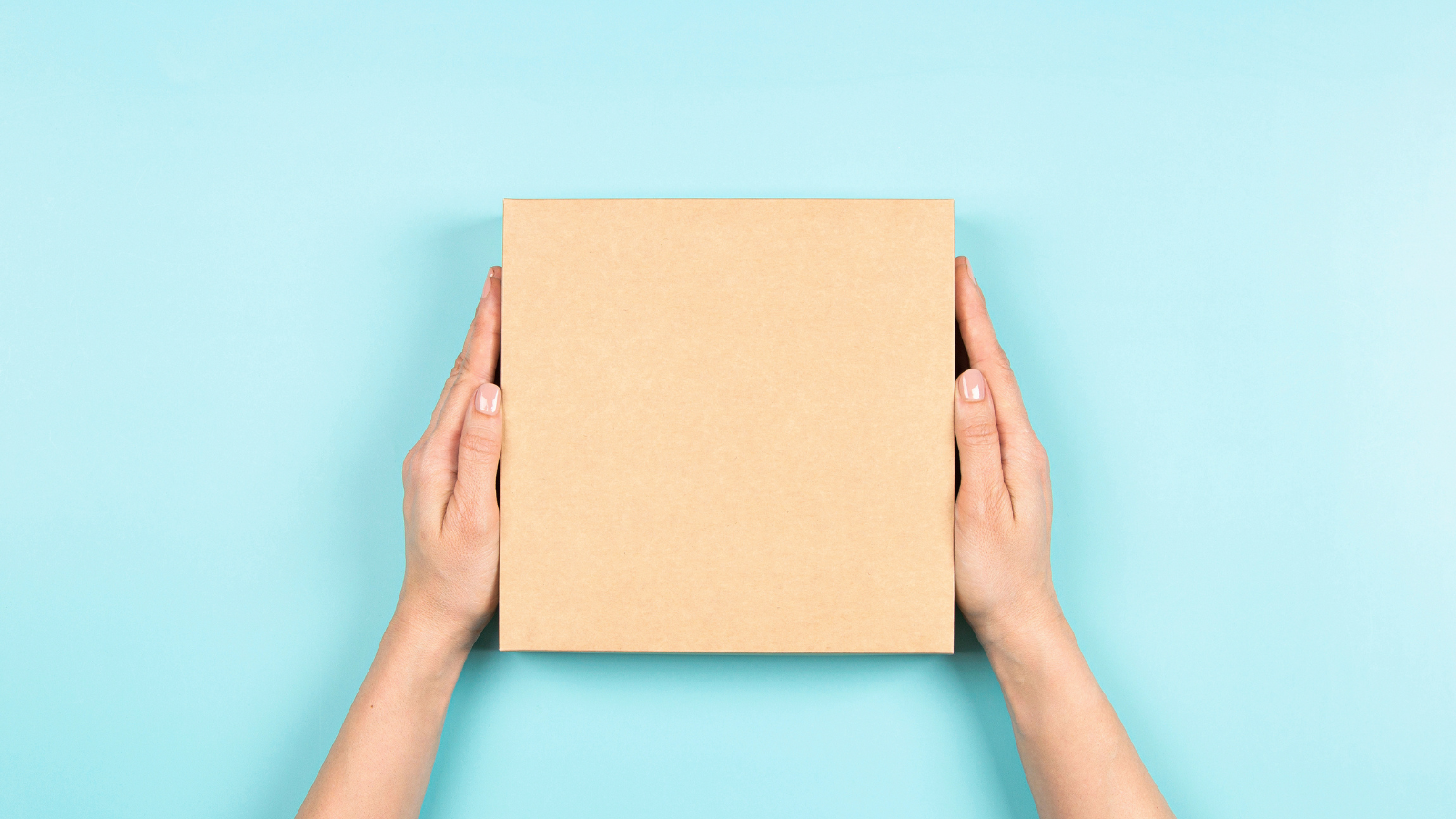 photo: veja/Shutterstock.com